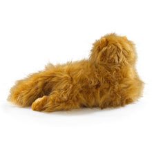 Load image into Gallery viewer, Harry Potter Crookshanks Plush (Large)
